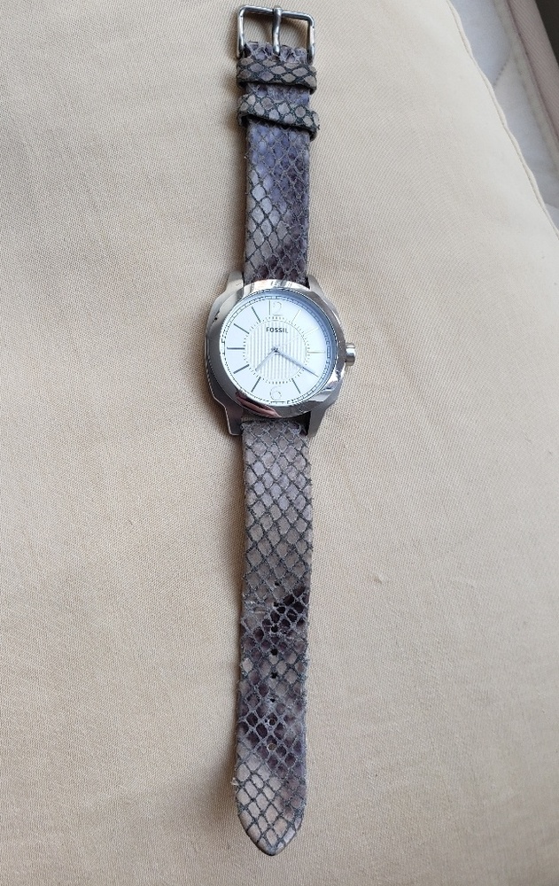 Fossil Watch with Snake Print Leather Band